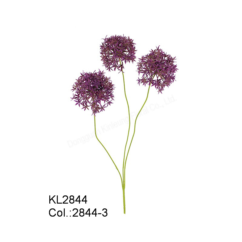 64cm Allium x 3 COM Dicas